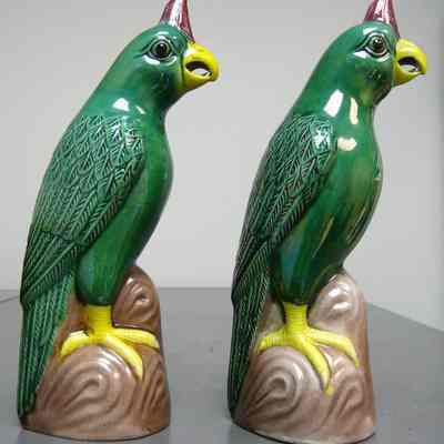 Pair of Chinese Parrots