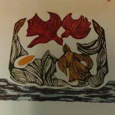 Birds of the Sheltered Bay