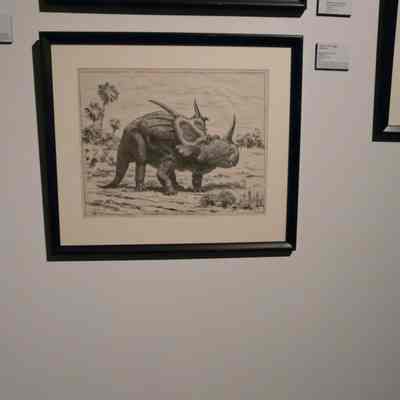 Styracosaurus