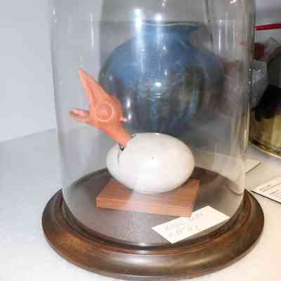 Hatching