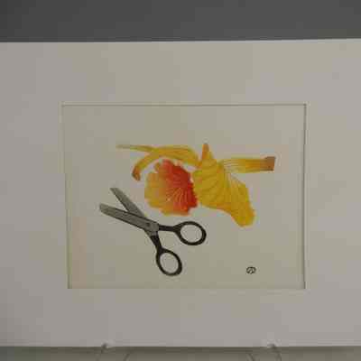 Orchid and Scissors