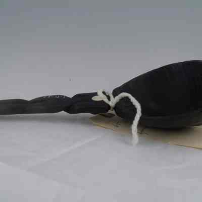 Black Spoon