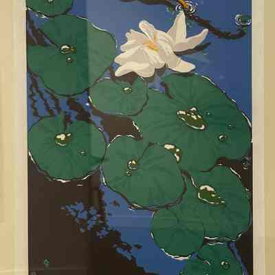 Pond Lilies