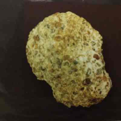 Rock/ Mineral