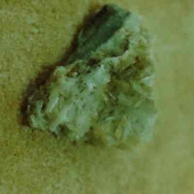 Rock/ Mineral