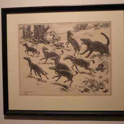 Eocene Horses