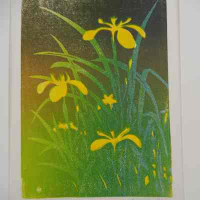 Yellow Iris