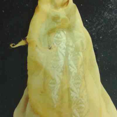 Persian Female Doll