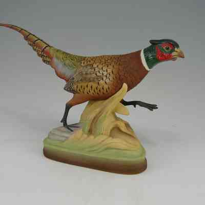 Ringed-necked Pheasant Male