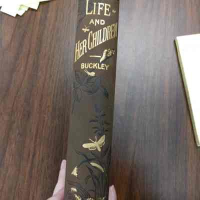 Book: Life and Her Children