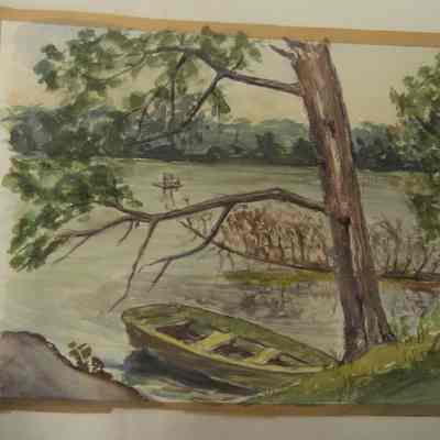 Canoe Docked Under Tree