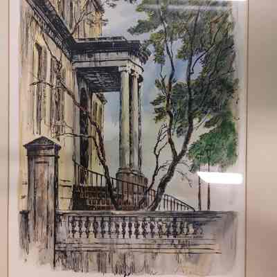Savannah Scene 1