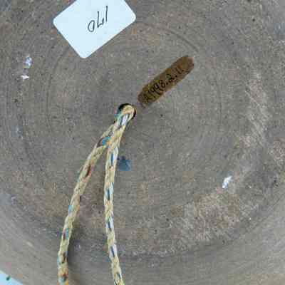 Hanging Bowl with Fish