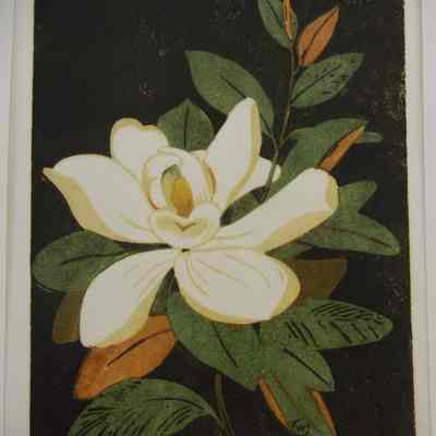 Magnolia (Large)