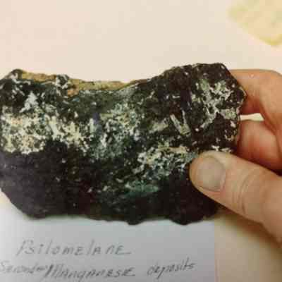 Rock/ Mineral