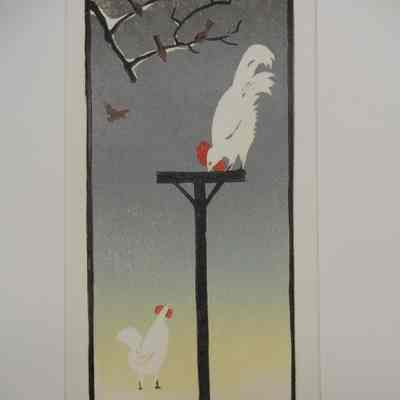 Chickens and Bird-feeder