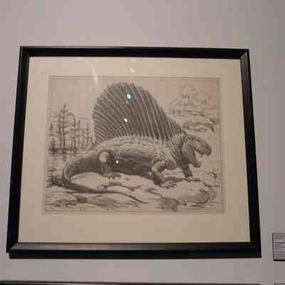 Dimetrodon