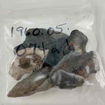 Projectile points (9)