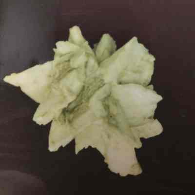 Rock/ Mineral