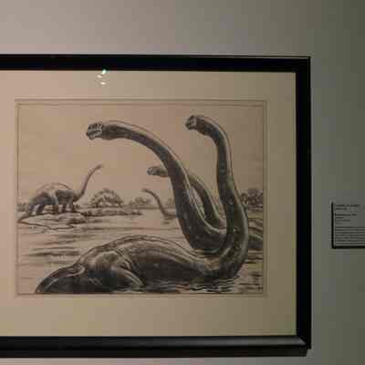 Brontosaurus