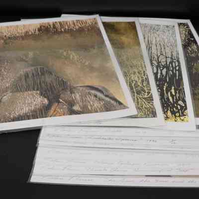 Untitled Group. 11 prints ( A2023.10-20)