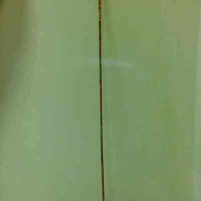 Fishing Spear
