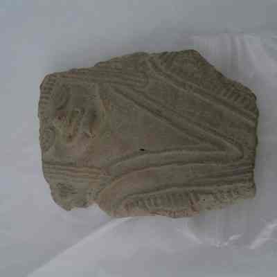 Head and Part of Torso