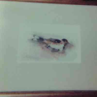 Dead Towhee