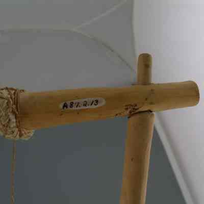 Stringed Instrument made from monitor lizard skin