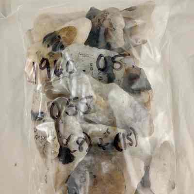 Projectile points