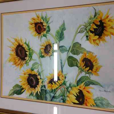 Sunflowers