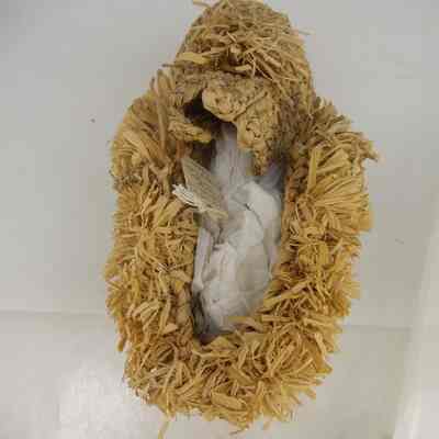 Corn Husk Moccasin