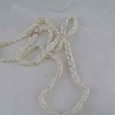 Necklace made of Cowie Shells