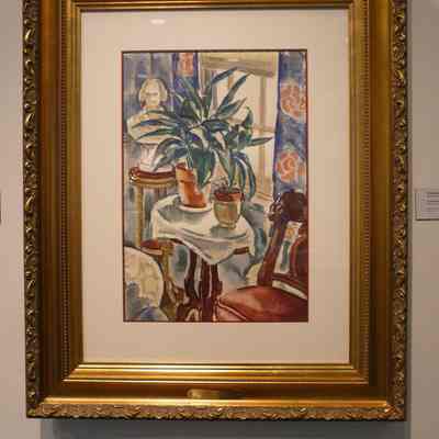 Potted Plant