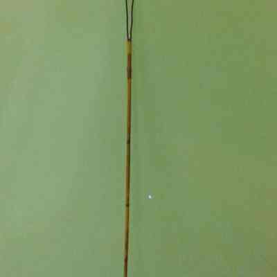 Fishing Spear