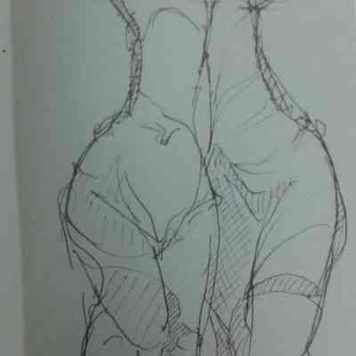 Torsos