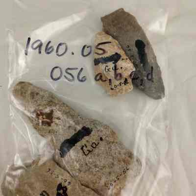 Projectile points