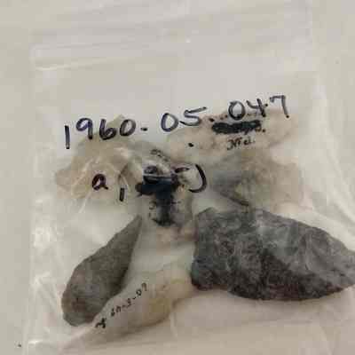 Projectile points