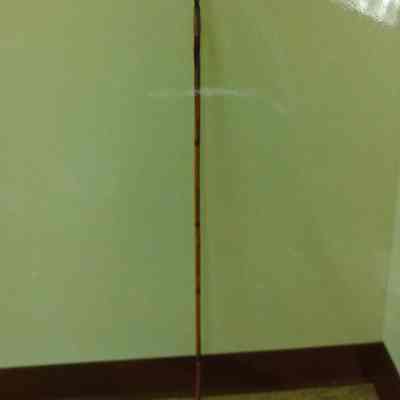 Bow