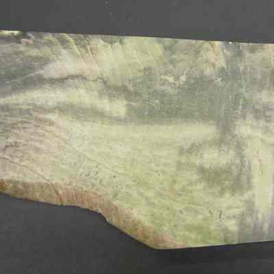 Fossilized Wood