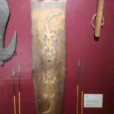 Shield
