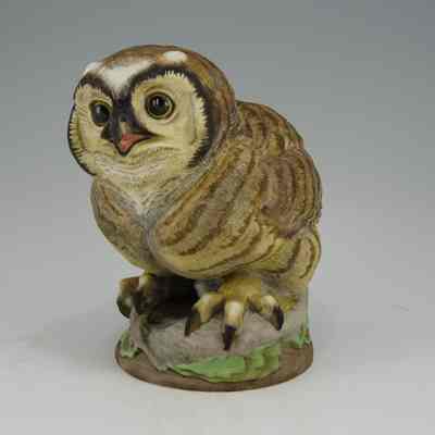 Great Horned Owl