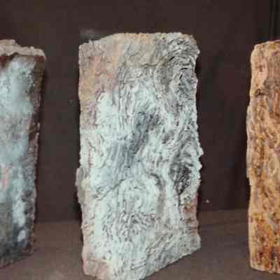 Atlases Vol. 21, 22,23
