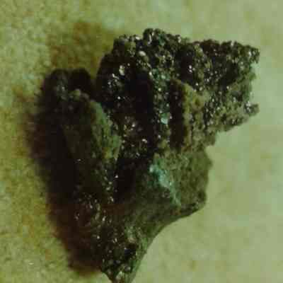 Rock/ Mineral