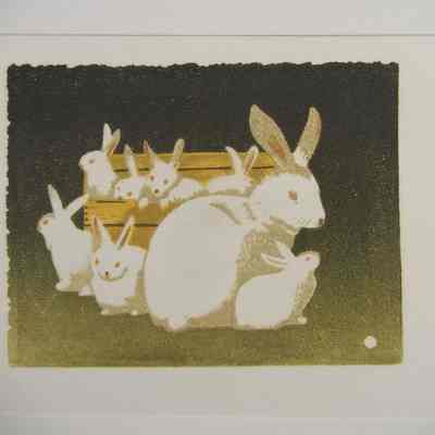 Rabbits and Box