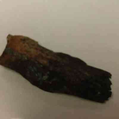Rock/ Mineral