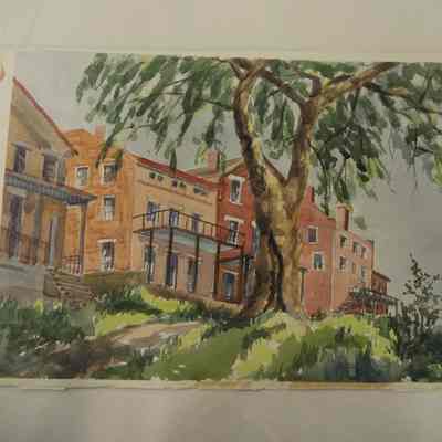 Row of Houses Behind Oak Tree