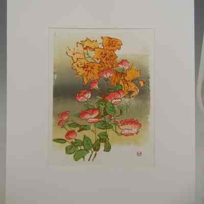 Roses and Maple