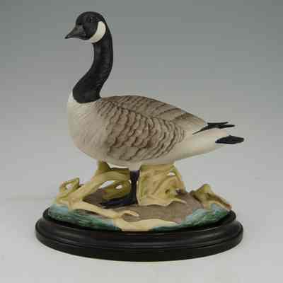 Canada Geese Pair