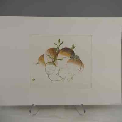 Mouse and Turnips